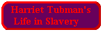 Harriet Tubman's Life in Slavery